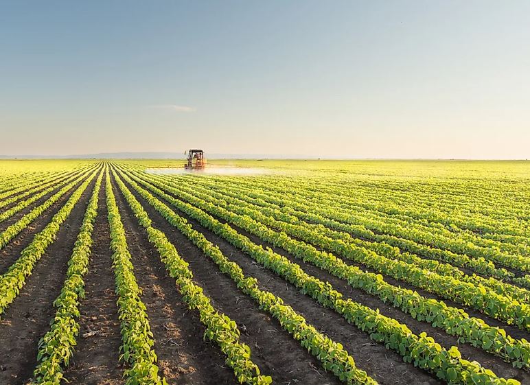 توافق دولت و آستان قدس رضوی برای توسعه همکاری‌ها در عرصه کشاورزی
