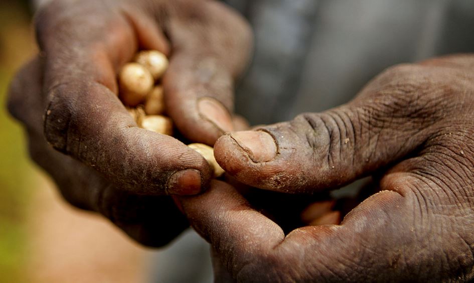 سامانه «سخا»؛ آغازگر عصر نوین درحمایت‌از نیازمندان