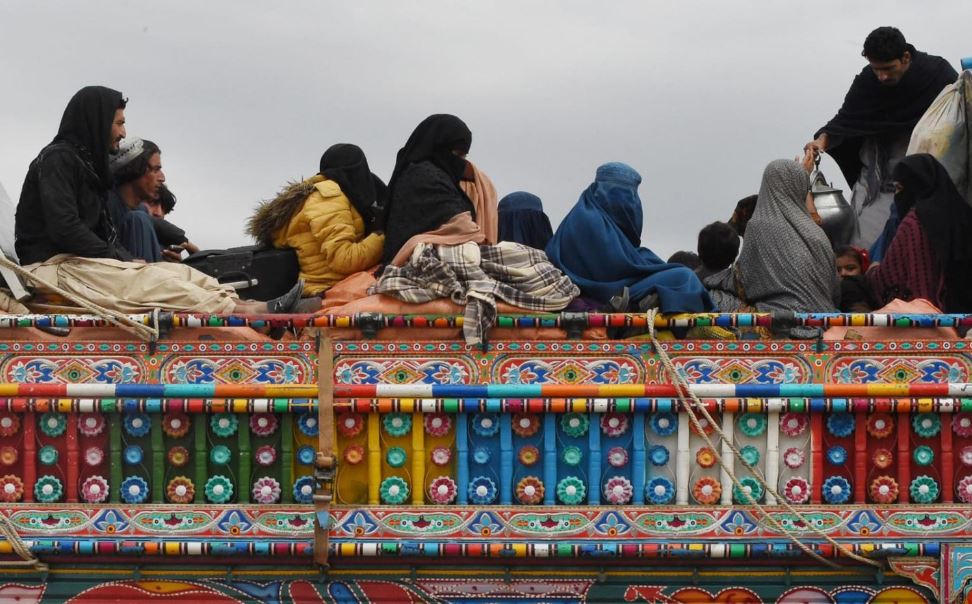 تفاوت‌های مهاجر و مهاجرزاده
