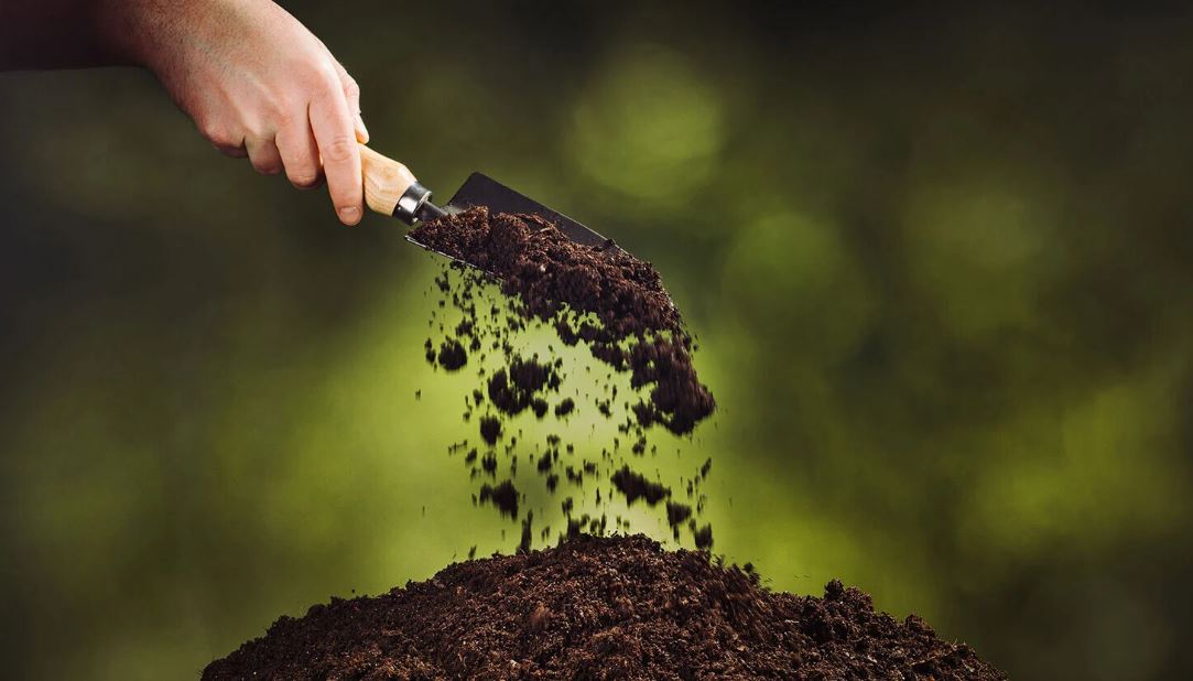 لزوم اتخاذ تدابیر حاکمیتی جهت مدیریت زمین
